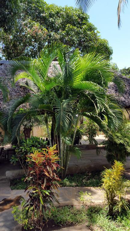 Villa Jamboland-Diani Playa de Diani Exterior foto